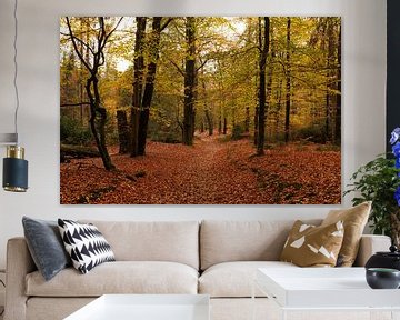 Autumn in Palace Park t Loo by Marijke van Eijkeren
