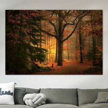 Misty Mastbos . Breda Netherlands.