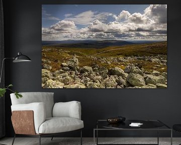 Berglandschap in het Städjan-Nipfjället natuurreservaat in Dalarna, Zweden van Bram Lubbers