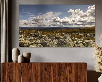 Uitzicht over het berglandschap in het Städjan-Nipfjället natuurreservaat in Dalarna, Zweden van Bram Lubbers