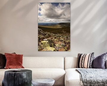 Uitzicht over het dal in berglandschap in het Städjan-Nipfjället natuurreservaat in Dalarna, Zweden van Bram Lubbers