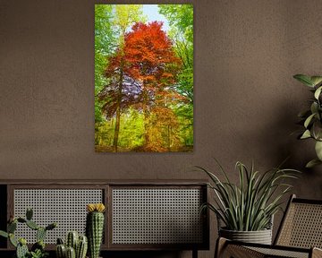 Red beech in a forest of green by Sjoerd van der Wal Photography