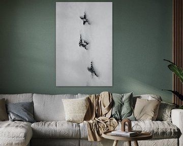 Tracing van Simon Claassen