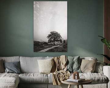 Tree black-white Posbank by Anneke Vat