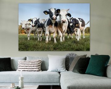 Koeien van Hessel de Jong Fotografie