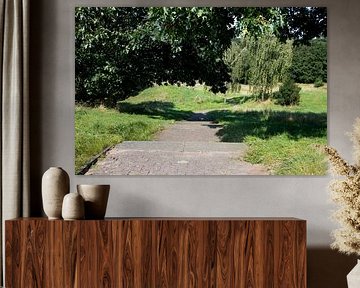 Discover nature in a wooded area in Emsland, Lower Saxony, Germany
