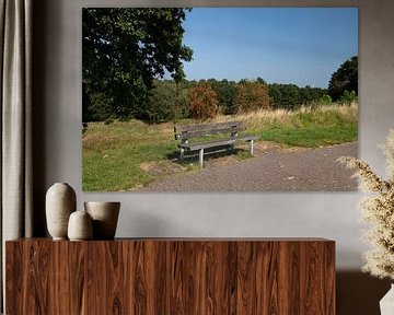 Découvrir la nature dans une zone forestière de l'Emsland, Basse-Saxe, Allemagne sur Bianca Meyering Fotos - BMF