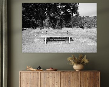 Découvrir la nature dans une zone forestière de l'Emsland, Basse-Saxe, Allemagne sur Bianca Meyering Fotos - BMF