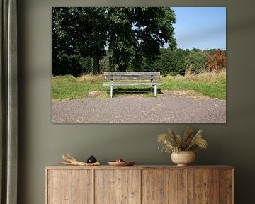 Découvrir la nature dans une zone forestière de l'Emsland, Basse-Saxe, Allemagne sur Bianca Meyering Fotos - BMF