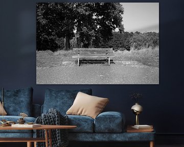 Découvrir la nature dans une zone forestière de l'Emsland, Basse-Saxe, Allemagne sur Bianca Meyering Fotos - BMF