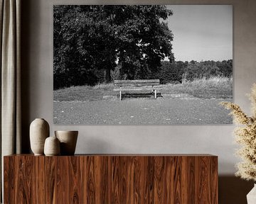 Découvrir la nature dans une zone forestière de l'Emsland, Basse-Saxe, Allemagne sur Bianca Meyering Fotos - BMF