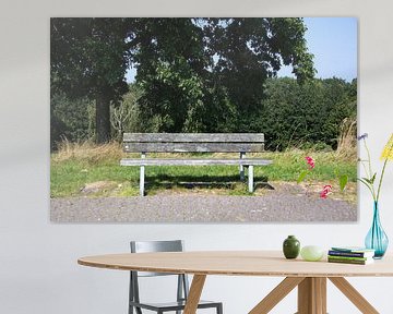 Découvrir la nature dans une zone forestière de l'Emsland, Basse-Saxe, Allemagne sur Bianca Meyering Fotos - BMF