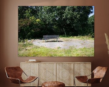 Découvrir la nature dans une zone forestière de l'Emsland, Basse-Saxe, Allemagne sur Bianca Meyering Fotos - BMF