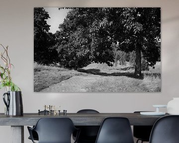 Découvrir la nature dans une zone forestière de l'Emsland, Basse-Saxe, Allemagne sur Bianca Meyering Fotos - BMF