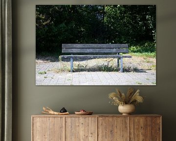 Discover nature in a wooded area in Emsland, Lower Saxony, Germany