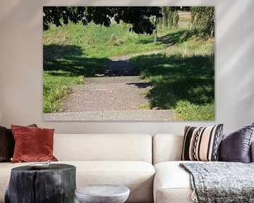 Discover nature in a wooded area in Emsland, Lower Saxony, Germany