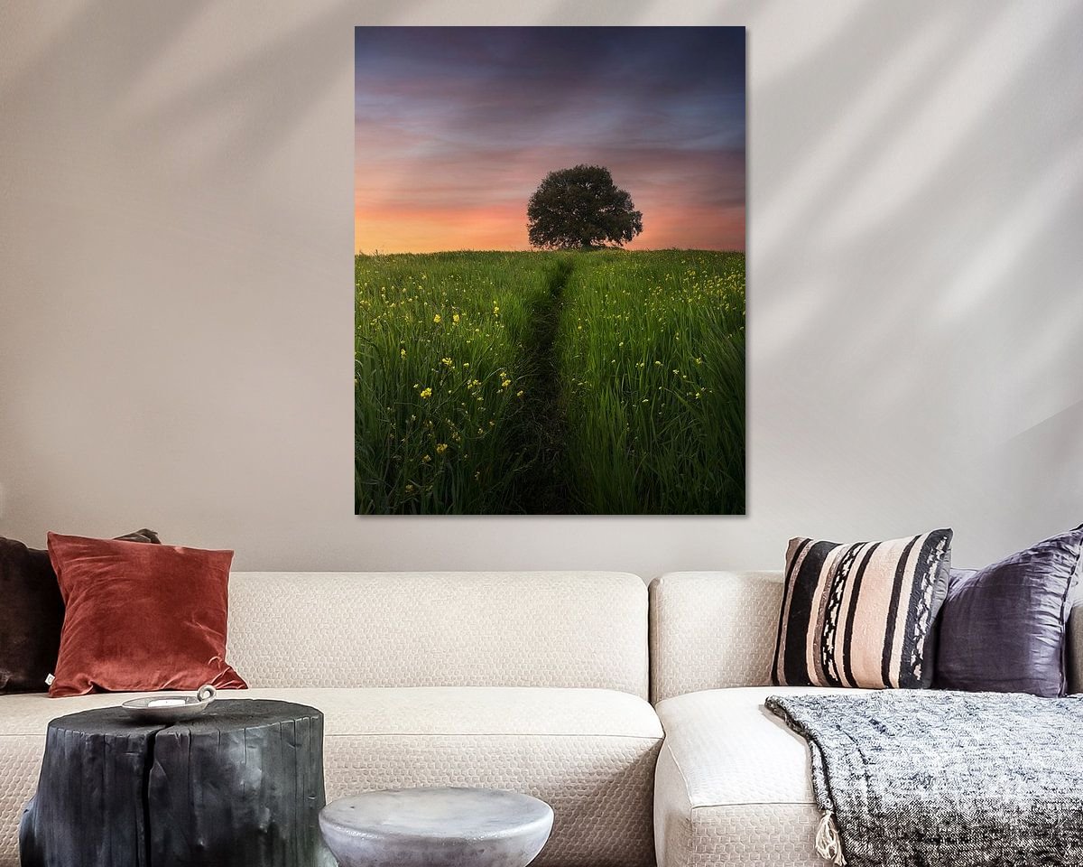 Voorbeeld van het werk in een kamer