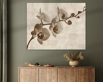 Orchideeën Schilderij | Sepia Silence van Modern Collection