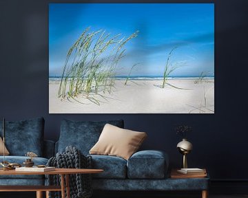 Wind door het helmgras op Vlieland.