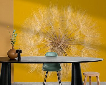 Pluizenbol van een Tragopogon met gele achtergrond van Marjolijn van den Berg