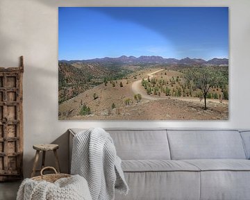 Overlooking the Bunyeroo Valley