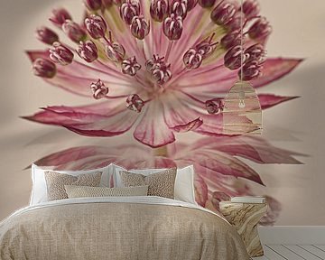 Zeeland Knot reflected in subsoil by Marjolijn van den Berg