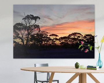 Een Nullarbor zonsondergang in Balladonia