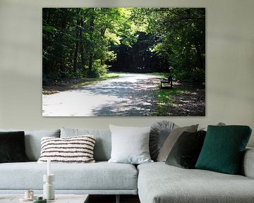Discover nature in a wooded area in Emsland, Lower Saxony, Germany