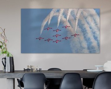 Canadian Armed Forces Snowbirds. by Jaap van den Berg