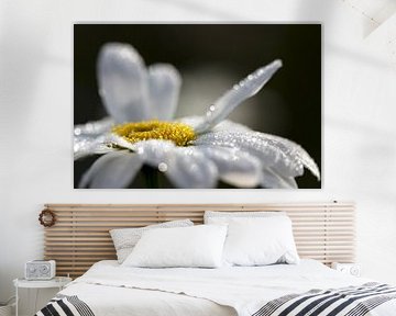 Margriet