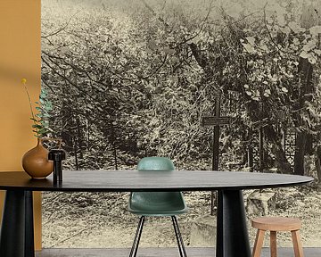 zwarte kruizen diep in het bos waar alles eindigt