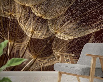 In the light: From the golden Tragopogon (with Bordeaux red background) by Marjolijn van den Berg