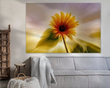 Sunflower greeting by Alex van den Akker