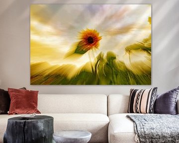 Sunflower salute to van Gogh by Alex van den Akker