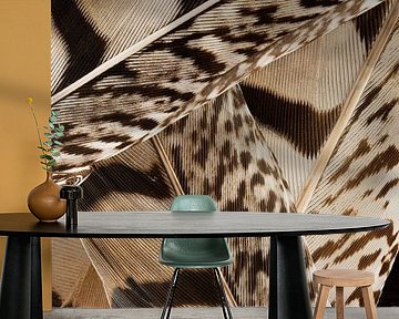 Line play in shades of brown:  A pile of feathers by Marjolijn van den Berg