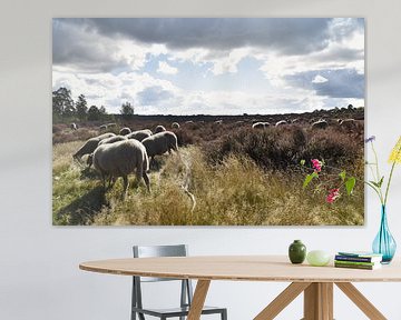 Sheep on the moor in Wierde by Jan Klijn