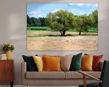 Dry agricultural field, Hageland