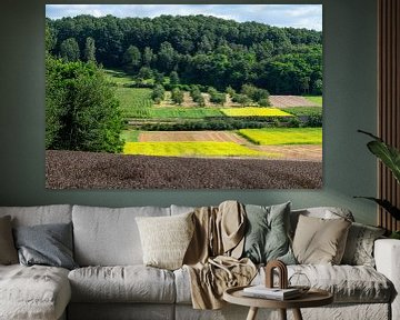 Kleurrijke akkerlanden in het Hageland van Werner Lerooy