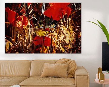 Un papillon, des coquelicots et un chat