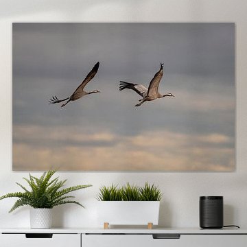 Take Off, Fly to Afrika