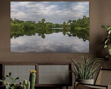 Oisterwijk Wälder und Moore