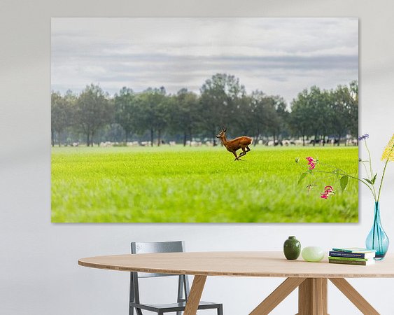 Aperçu de la chambre