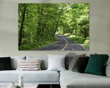 Eine Landstraße im Sommer von Claude Laprise