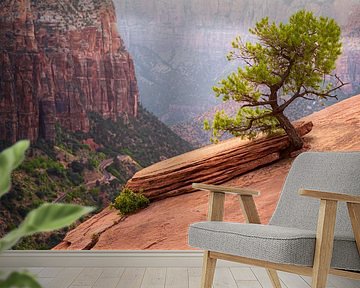 Bonsai Zion National Park von Steve Mestdagh