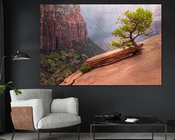 Bonsai Zion National Park van Steve Mestdagh