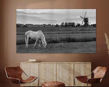 Grazend paard bij windmolen de Bachtenaar (zwart-wit) van Stephan Neven