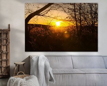 Zonsondergang achter bomen