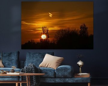 Zonsondergang achter bomen