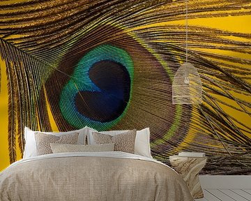 A peacock feather with a warm yellow background by Marjolijn van den Berg