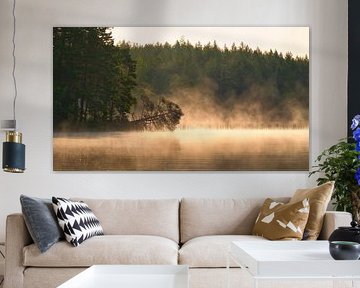 Dead tree, in the fog that reaches into the water at dawn by Martin Köbsch